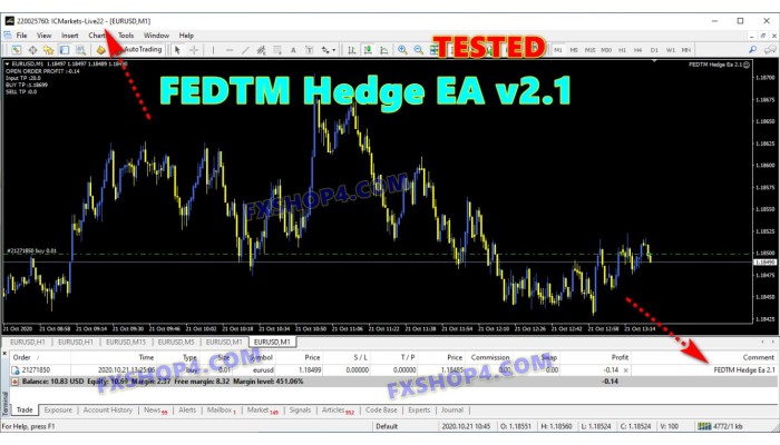 FEDTM Hedge EA v2.1 