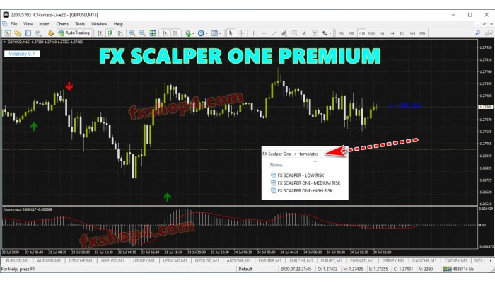 FX SCALPER ONE PREMIUM 