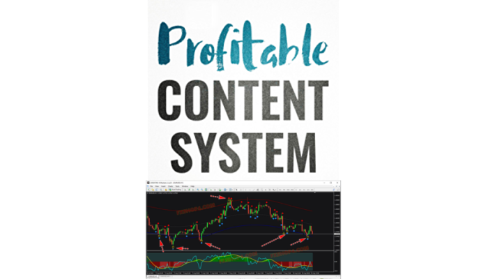 PROFITABLE CONTENT SYSTEM 