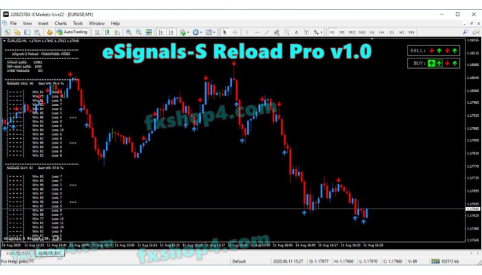 ESIGNALS-S RELOAD PRO V1.0 