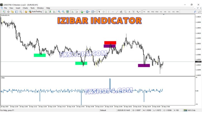 IZIBAR INDICATOR 