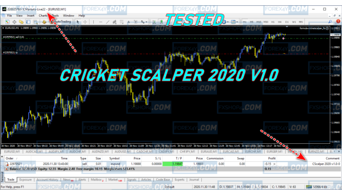 CRICKET SCALPER 2020 v1.0