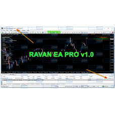 RAVAN EA PRO V1.0 