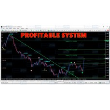 PROFITABLE SYSTEM 