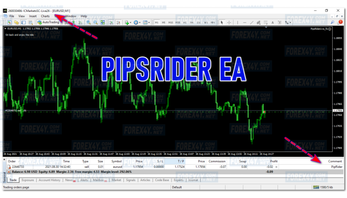 PIPSRIDER EA 