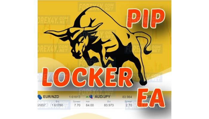 PIP LOCKER EA 2021