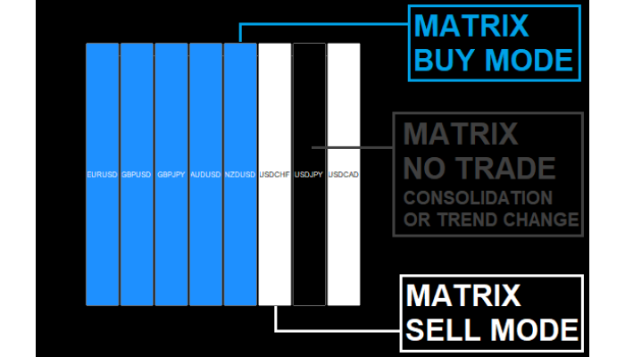 GT SCALPER