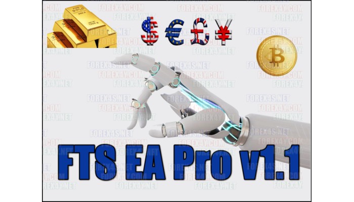 FTS EA Pro v1.1