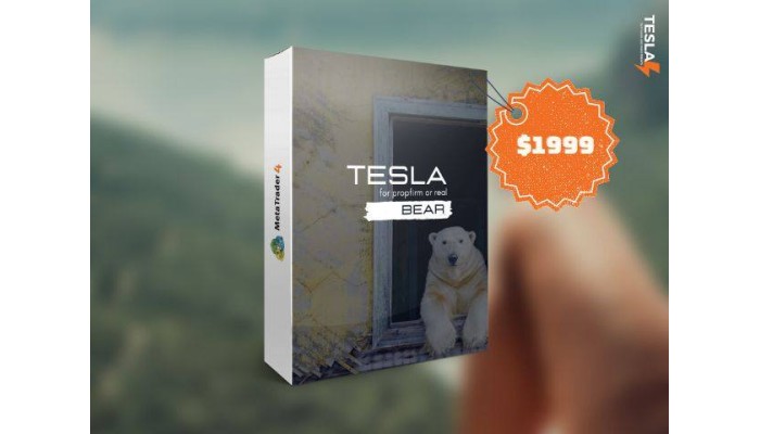 TESLAEASOFT BEAR SYSTEM v1.0