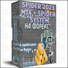 SPIDER 2023 MT4 + SPIDER SYSTEM