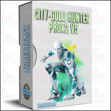 CITY-GOLD HUNTER PROx2 V5